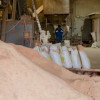 На Ставрополье освоили производство пеллет из древесины