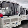 В ДНР пришёл 81 новый автобус