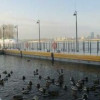 Завершено строительство плавучего причала для маломерных судов проекта ПБФ 4218.23/ПП