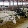 В марийском Тушнуре построен новый животноводческий комплекс