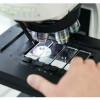 Российские ученые открыли новый организм и назвали его в честь братьев Стругацких