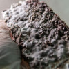 Челябинские специалисты создали улучшающий качество окружающей среды бетон