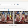 Разработана интеллектуальная система контроля качества и сортировки тушек птиц
