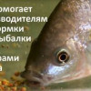 Что помогает производителям прикормки для рыбалки быть лидерами рынка