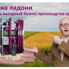 Успех на ладони: как начать выгодный бизнес производства крупы