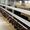 В Карачаево-Черкесии открыли крупнейшую в СКФО площадку откорма овец