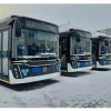 ГТЛК поставила 160 автобусов по ФНБ-проекту за неделю