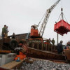 Россия нарастила экспорт моллюсков в 1,5 раза