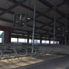 В Тюменской области открылся животноводческий комплекс на 600 голов