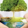 Атмосфера становится чище: выбросы вредных веществ в воздух снизились до пятилетнего минимума
