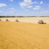 «Росагролизинг» в 2024 году увеличил поставки техники АПК на четверть