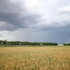 Волгоградская область возвращает в оборот заброшенные земли