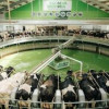 «Эконива» увеличивает производство. Итоги 2024 года