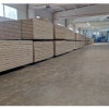 Производство плит ОСП (OSB) стало доступно для российских лесозаготовителей