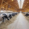 В Саратовской области открылся новый животноводческий комплекс