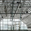 Тюменское предприятие запустило линию по посадке семян хвойных деревьев