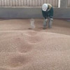 Более миллиона тонн растительной продукции экспортировано из Калининграда