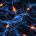 Synapse